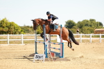 SBM_002910