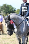 WJ6_8737
