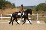 SBM_013636