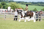SBM_17288