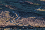 Lords Seat-9