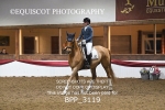 BPP_3119