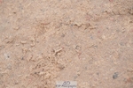 260516-160122-00787