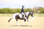 SBM_007981