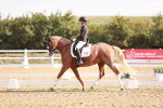 SBM_016853