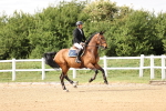 SBM_003498