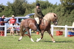 JPP_1733
