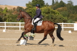 SBM_022505