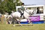 SBM_16160