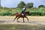 WJ5_1798