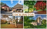 Coming soon - New Cockington Views