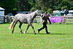 SBM_03337