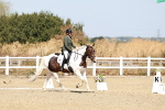 SBM_017455
