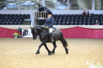 SBM_23919