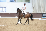 SBM_002554