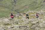 Duddon Long-429