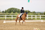 SBM_005350