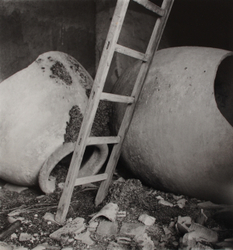 Olive oil urns and ladder