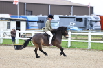 SBM_006855
