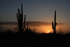 Tucson sunset