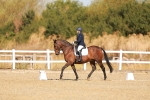 SBM_016649