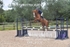 BPP_4107