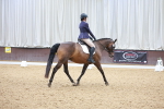 SBM_001350