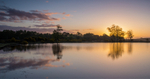Whitten Pond at Dawn