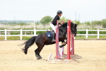SBM_008097