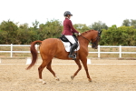 SBM_007670