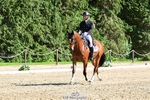 260529A-161711-11385
