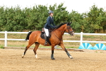 SBM_002554