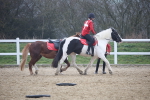 SBM_003752