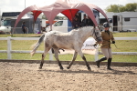 SBM_23396