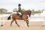 SBM_15984