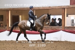 BPP_2189