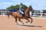 BPP_7084