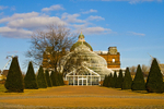 Winter Gardens, People's Palace, Glasgow - 7124