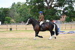 WJ6_3867