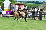 SBM_07981