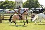 SBM_08482