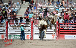 3HRodeo_CFD_JUL_18_2026_03808