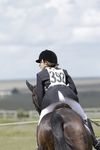 BVHT 140517 N-392