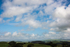 ACP_2431-1