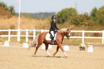 SBM_017584