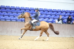 SBM_001624