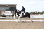 SBM_04933