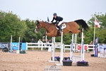Cls 30, 1 Star 6yr old Tour portfolio
