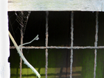 Eastwards - 07
