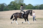 WJ7_7654